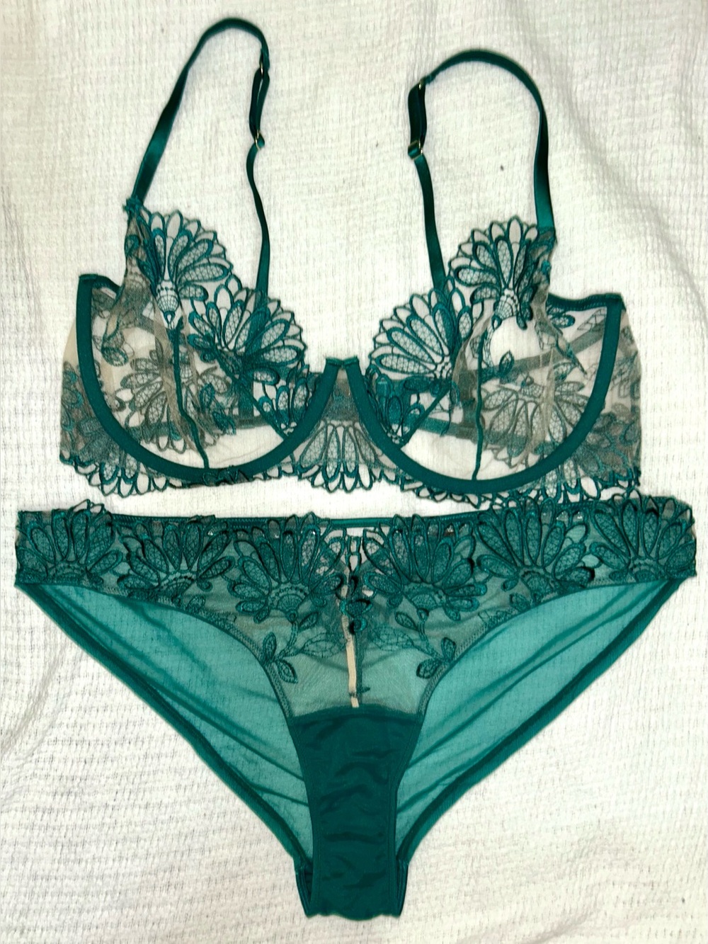 Emerald Green Sheer Floral Lace Underwire Bra & Bikini Brief Set
